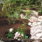 Jardin de Martine : petit coin jardin