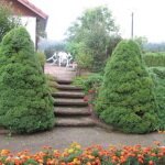 Le jardin de clara dans les Vosges