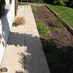 Jardin d'hervé 2009