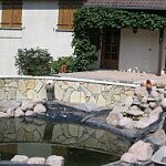 Jardin d'hervé 2009