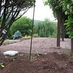 Jardin d'hervé 2009