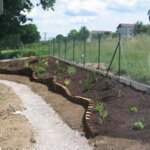 Jardin de greg 2009