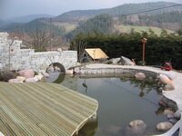 Terrasse en bois