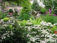 Notre magnifique jardin a saint amé dans les vosges