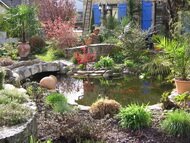 Bassin dans le jardin