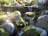 Une cascade dans le jardin