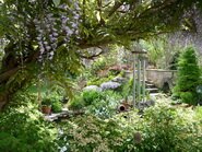Le jardin en au printemps 2009