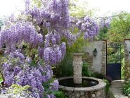 Le jardin en au printemps 2009