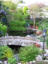 Le jardin en au printemps 2009