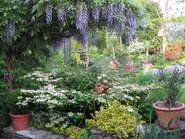 Le jardin en au printemps 2009