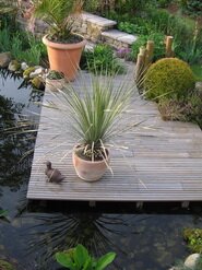 Le jardin en au printemps 2009