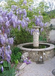 Fontaine à eau