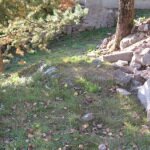 Préparation du jardin et accès
