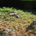 Préparation du jardin et accès