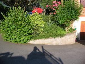 Le jardin de Lénaëlle